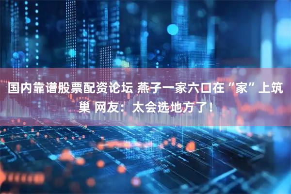 国内靠谱股票配资论坛 燕子一家六口在“家”上筑巢 网友：太会选地方了！