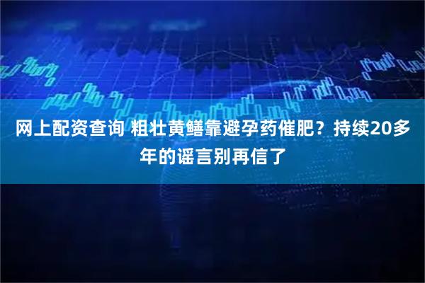 网上配资查询 粗壮黄鳝靠避孕药催肥？持续20多年的谣言别再信了